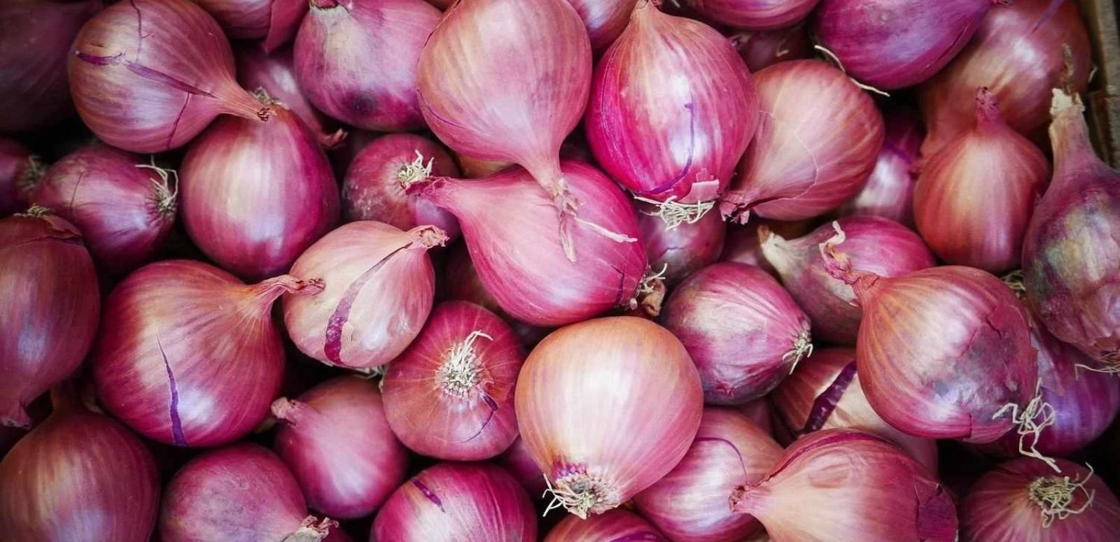 Fresh Onions