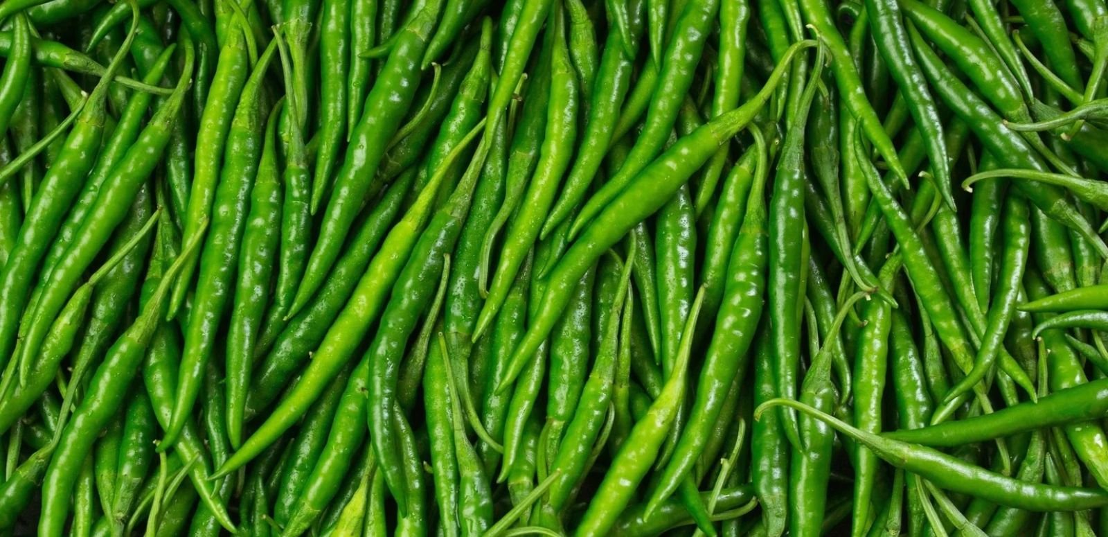 Fresh Green Chillies
