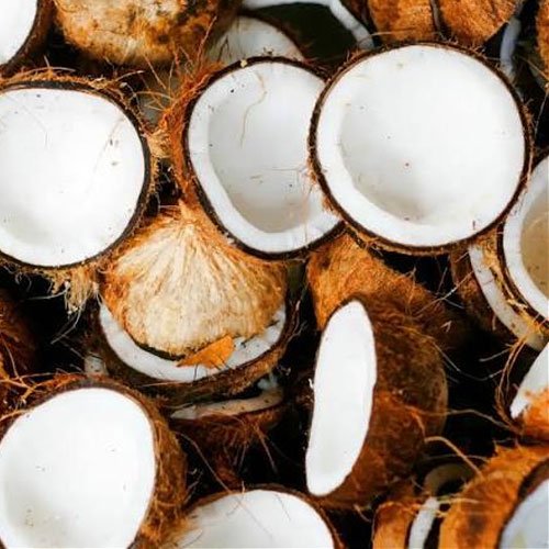 Coconut
