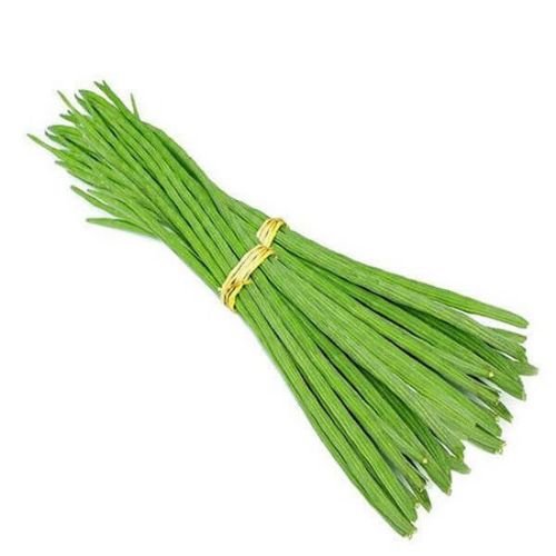 Drumstick Exporters