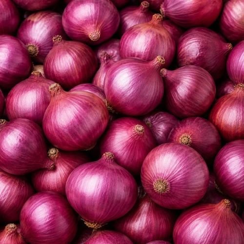 Fresh Whole Red Onions