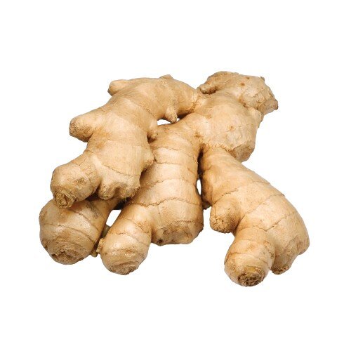 Ginger Exporter