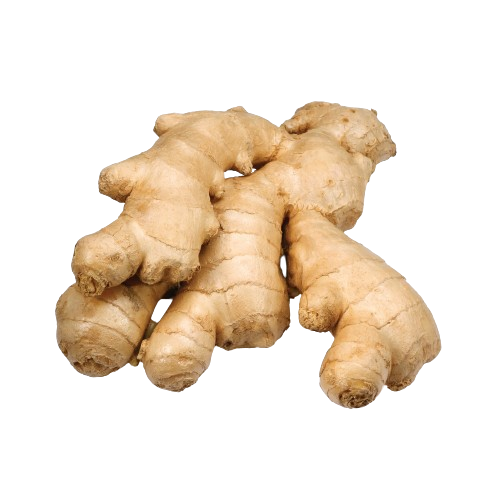 Ginger