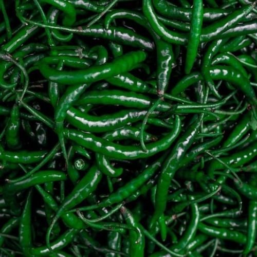 Green Chilli Exporters