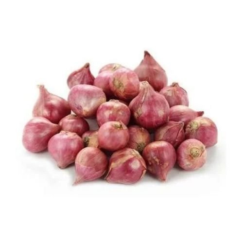 Shallot Exporters
